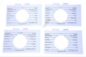 Program Washer Disc - 10012960 Legend [Bosch Siemens]