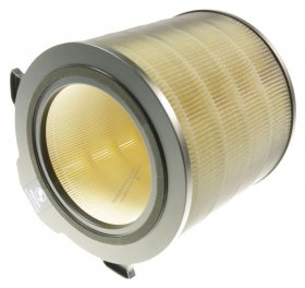 Air Vent - 9009229742 Efdbth4 Pollen Protect Filter [Electrolux Aeg]