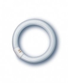 Osram G10q Fluorescent Tube - Leuchtstofflampe, G10q, 32 W, 84 V